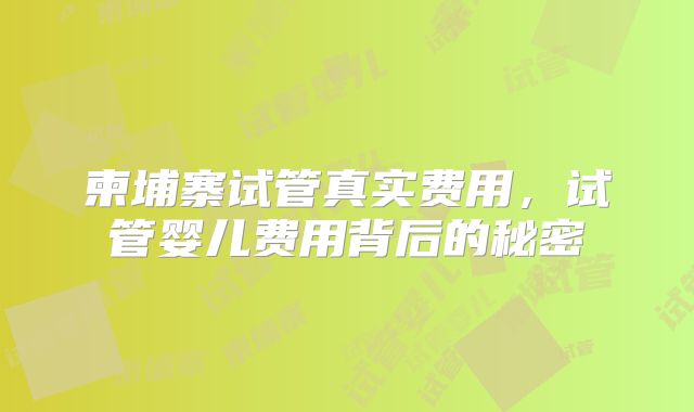 柬埔寨试管真实费用，试管婴儿费用背后的秘密