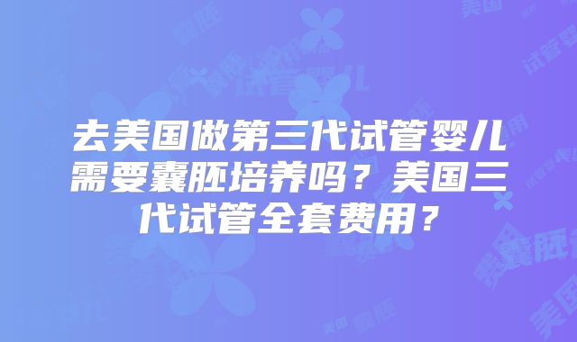 去美国做第三代试管婴儿需要囊胚培养吗？美国三代试管全套费用？