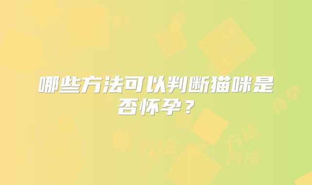 哪些方法可以判断猫咪是否怀孕？
