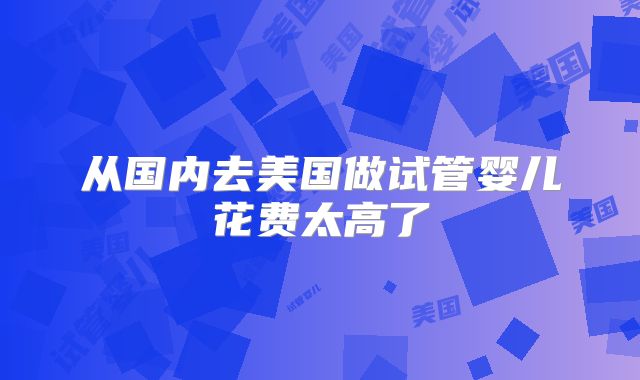 从国内去美国做试管婴儿花费太高了