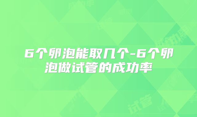 6个卵泡能取几个-6个卵泡做试管的成功率
