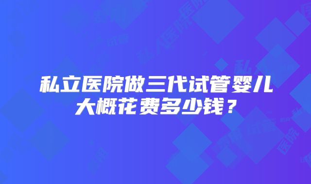 私立医院做三代试管婴儿大概花费多少钱？
