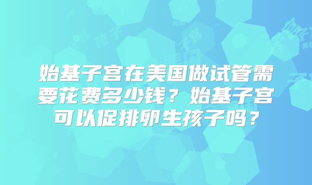 始基子宫在美国做试管需要花费多少钱？始基子宫可以促排卵生孩子吗？