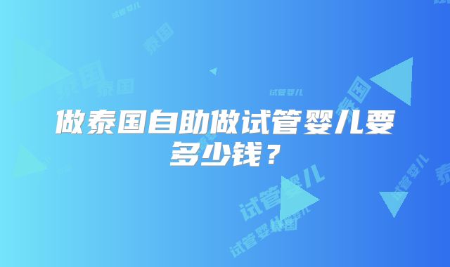 做泰国自助做试管婴儿要多少钱？