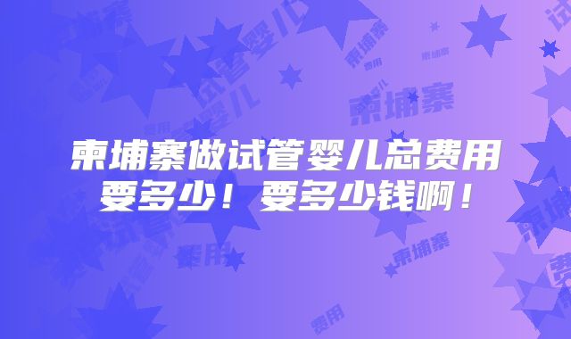 柬埔寨做试管婴儿总费用要多少！要多少钱啊！
