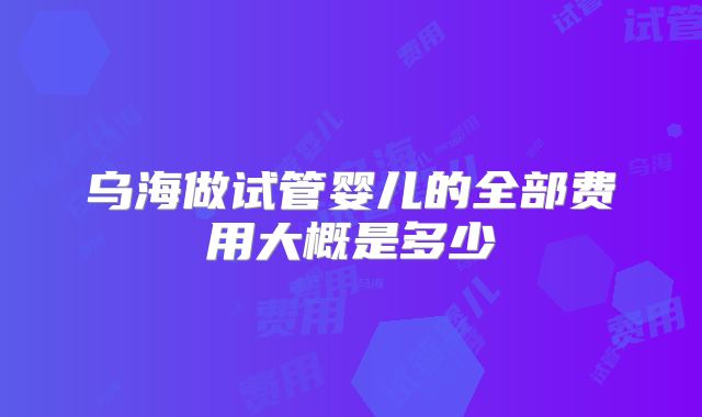 乌海做试管婴儿的全部费用大概是多少