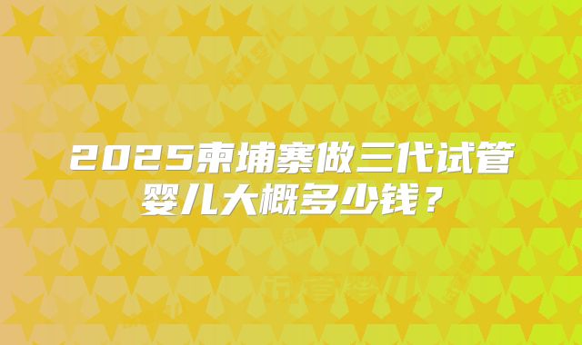 2025柬埔寨做三代试管婴儿大概多少钱？