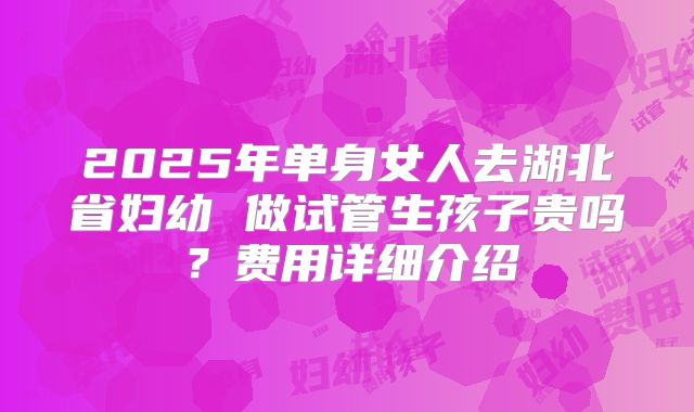 2025年单身女人去湖北省妇幼 做试管生孩子贵吗？费用详细介绍