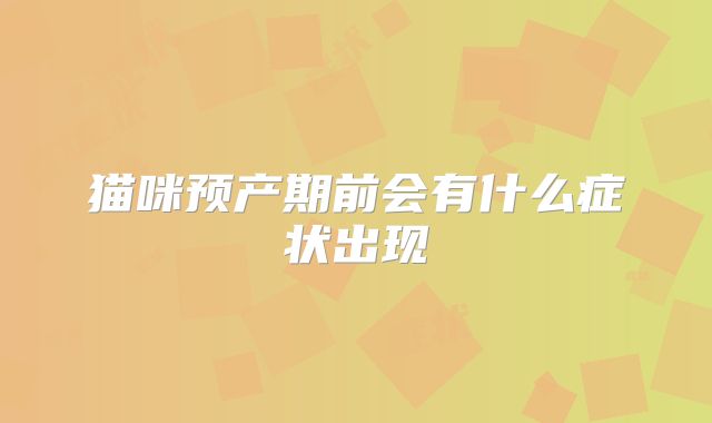 猫咪预产期前会有什么症状出现