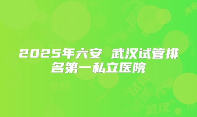 2025年六安 武汉试管排名第一私立医院