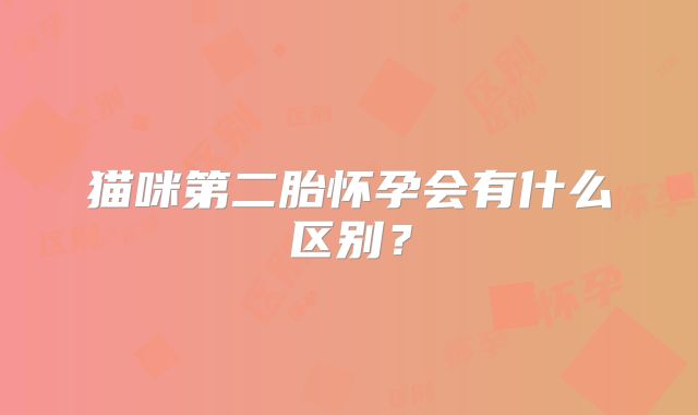 猫咪第二胎怀孕会有什么区别？
