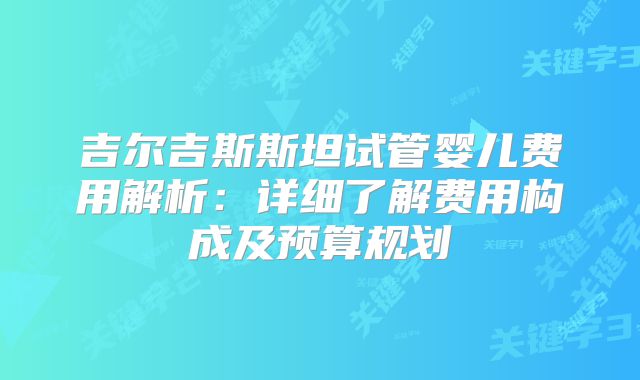 吉尔吉斯斯坦试管婴儿费用解析:详细了解费用构成及预算规划