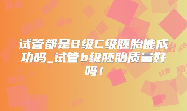 试管都是B级C级胚胎能成功吗_试管b级胚胎质量好吗!