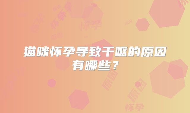 猫咪怀孕导致干呕的原因有哪些？