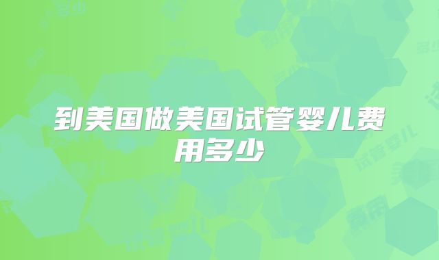 到美国做美国试管婴儿费用多少