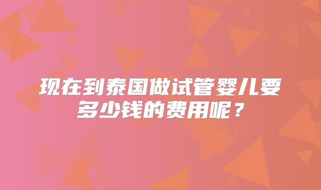 现在到泰国做试管婴儿要多少钱的费用呢？