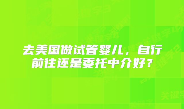 去美国做试管婴儿，自行前往还是委托中介好？