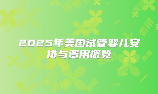 2025年美国试管婴儿安排与费用概览