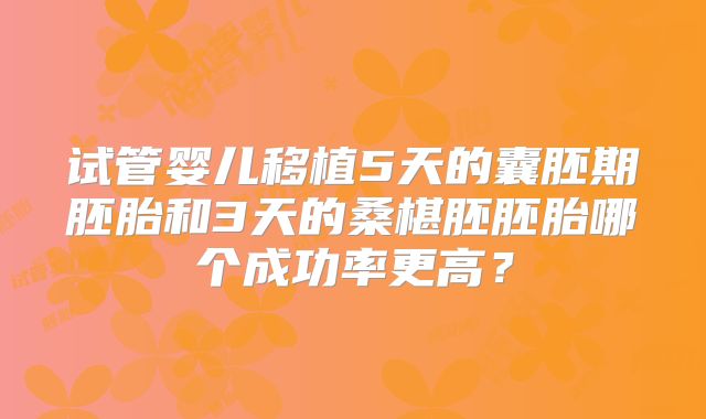 试管婴儿移植5天的囊胚期胚胎和3天的桑椹胚胚胎哪个成功率更高?