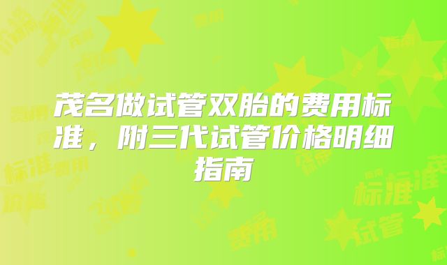 茂名做试管双胎的费用标准，附三代试管价格明细指南