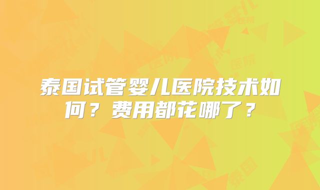 泰国试管婴儿医院技术如何？费用都花哪了？