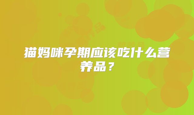 猫妈咪孕期应该吃什么营养品？