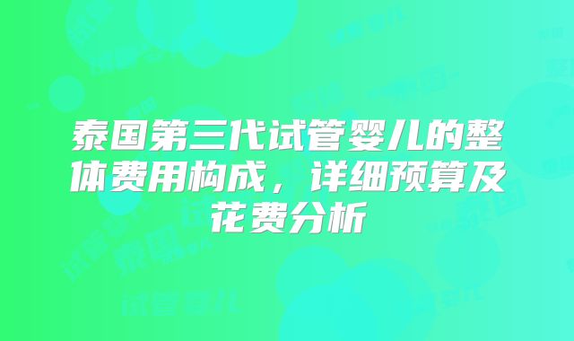 泰国第三代试管婴儿的整体费用构成，详细预算及花费分析