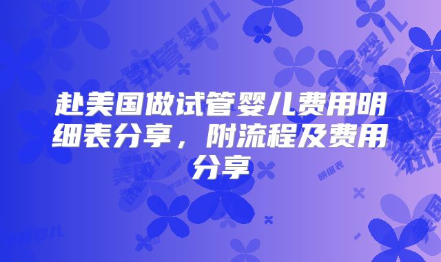 赴美国做试管婴儿费用明细表分享，附流程及费用分享