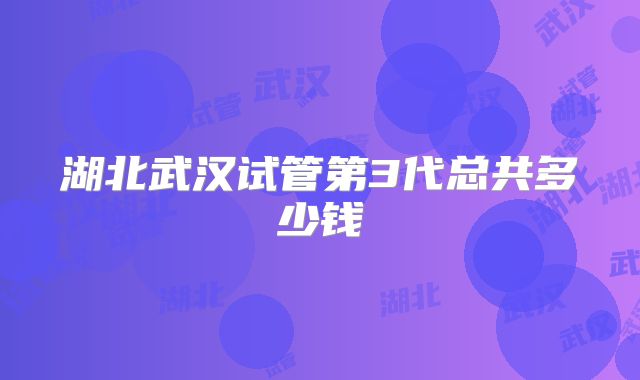 湖北武汉试管第3代总共多少钱