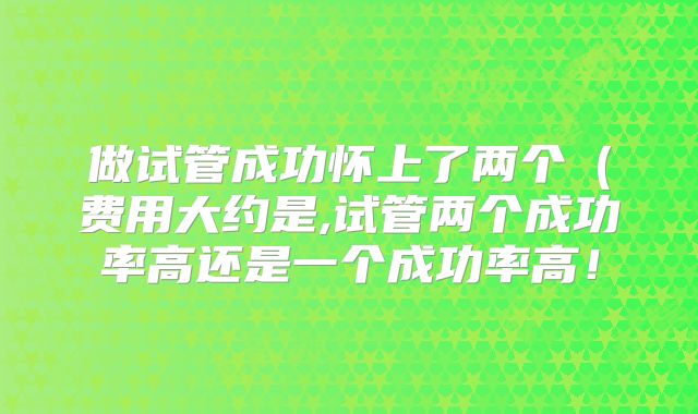 做试管成功怀上了两个（费用大约是,试管两个成功率高还是一个成功率高！