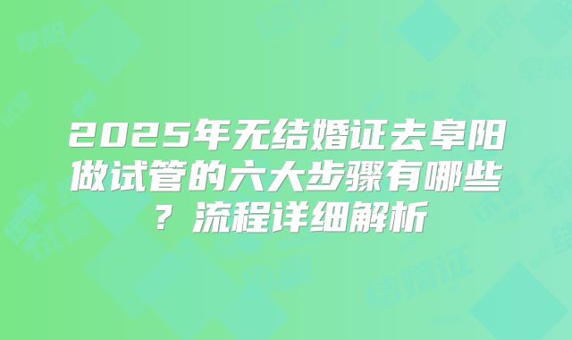 2025年无结婚证去阜阳做试管的六大步骤有哪些？流程详细解析