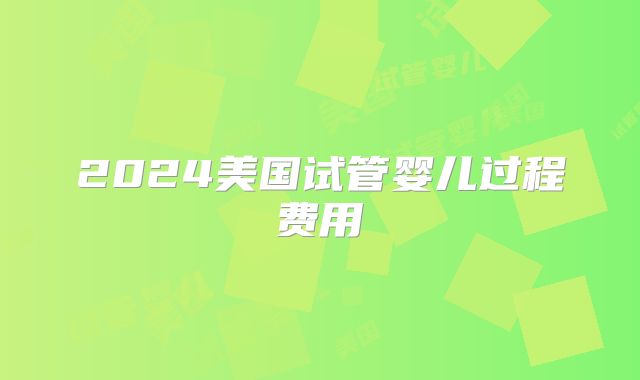 2024美国试管婴儿过程费用