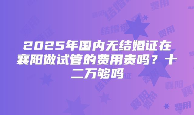 2025年国内无结婚证在襄阳做试管的费用贵吗？十二万够吗