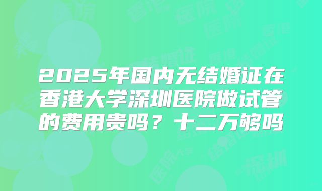 2025年国内无结婚证在香港大学深圳医院做试管的费用贵吗？十二万够吗