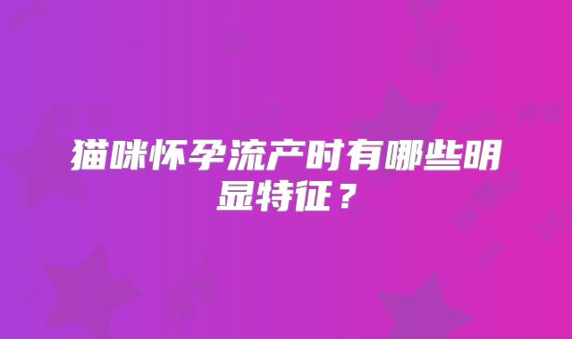 猫咪怀孕流产时有哪些明显特征？