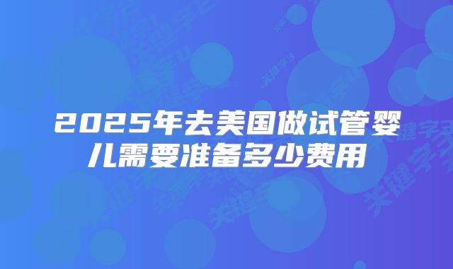 2025年去美国做试管婴儿需要准备多少费用