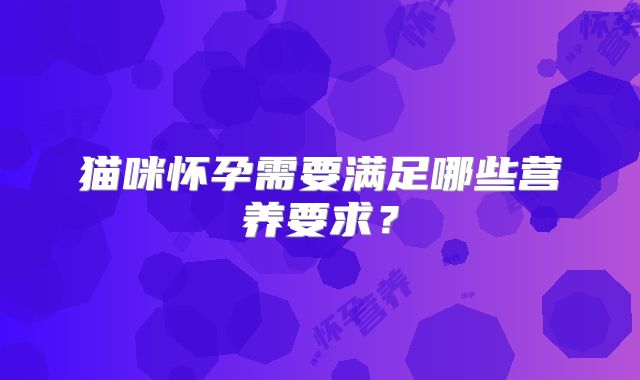 猫咪怀孕需要满足哪些营养要求？