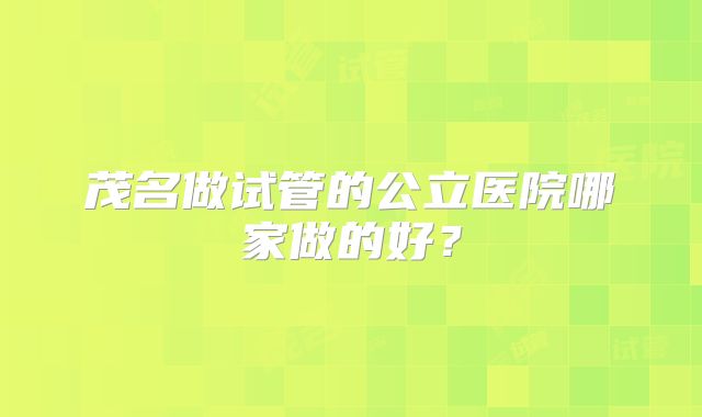 茂名做试管的公立医院哪家做的好?