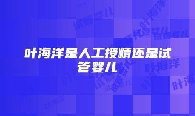 叶海洋是人工授精还是试管婴儿