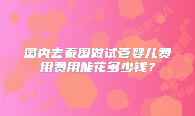 国内去泰国做试管婴儿费用费用能花多少钱？