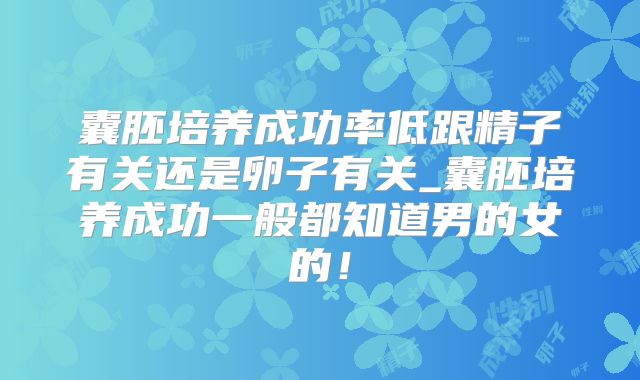 囊胚培养成功率低跟精子有关还是卵子有关_囊胚培养成功一般都知道男的女的！