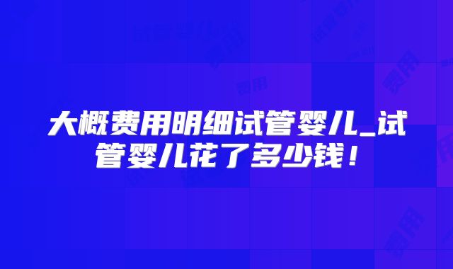 大概费用明细试管婴儿_试管婴儿花了多少钱！