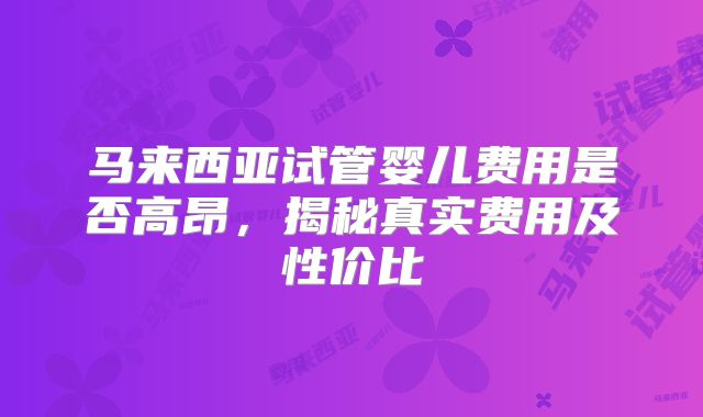 马来西亚试管婴儿费用是否高昂，揭秘真实费用及性价比