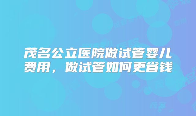 茂名公立医院做试管婴儿费用,做试管如何更省钱