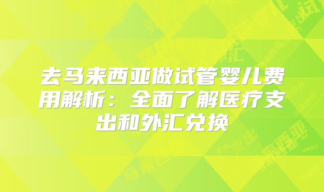 去马来西亚做试管婴儿费用解析：全面了解医疗支出和外汇兑换