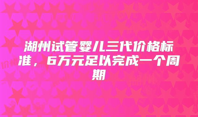 湖州试管婴儿三代价格标准，6万元足以完成一个周期