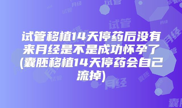 试管移植14天停药后没有来月经是不是成功怀孕了(囊胚移植14天停药会自己流掉)