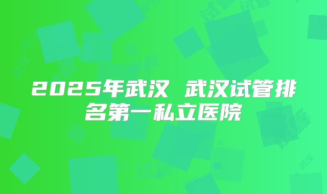 2025年武汉 武汉试管排名第一私立医院