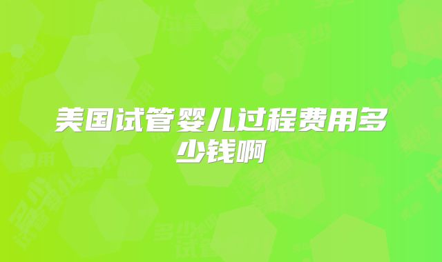 美国试管婴儿过程费用多少钱啊