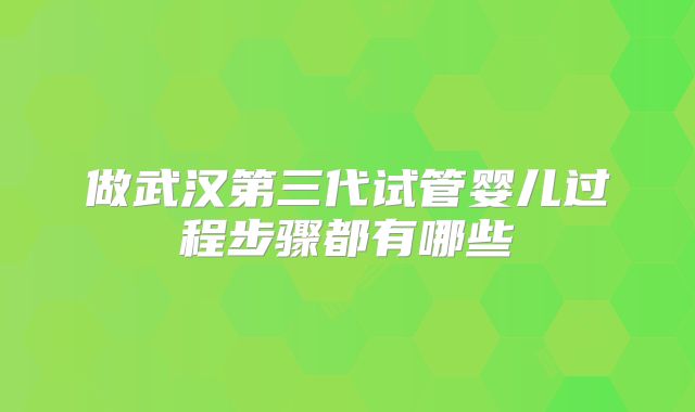做武汉第三代试管婴儿过程步骤都有哪些